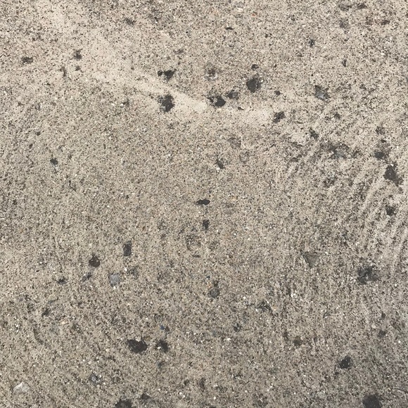 Meet your Posher, Noah - Picture 1 of 1